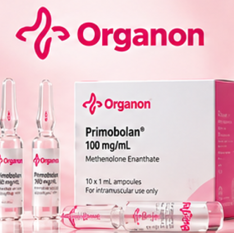 Organon